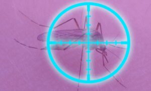 mosquito con luz azul